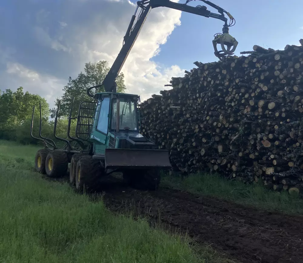 Achat de bois