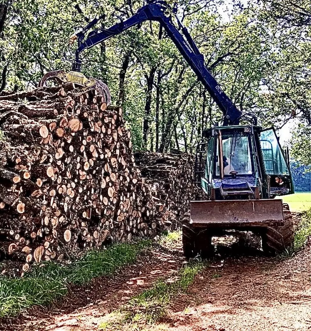 Bois de chauffage près de Villefranche-de-Rouergue