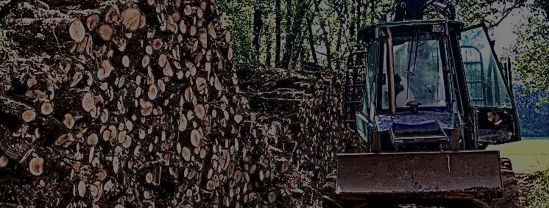 Bois de chauffage près de Villefranche-de-Rouergue